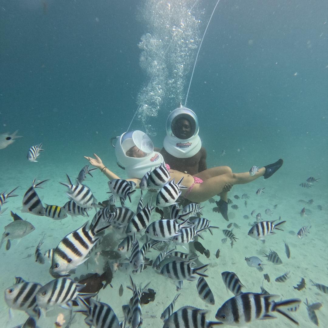 SEA WALKING 